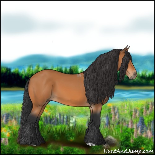 Horse Color:Bay 