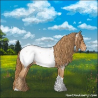 Horse Color:Chestnut Tobiano Near Fewspot 