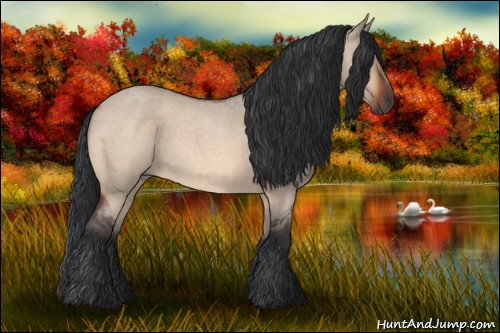 Horse Color:Bay Roan Dun 