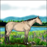 Horse Color:Bay Dun