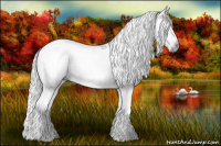 Horse Color:Gray Chestnut 
