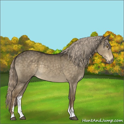 Horse Color:Chocolate Palomino Dun Sabino 