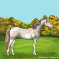 Horse Color:Smoky Creme Dun Tobiano 