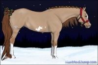 Horse Color:Red Dun Roan Splash Frame Rabicano 