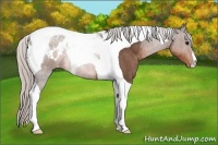 Horse Color:Silver Brown Tobiano Blanket 