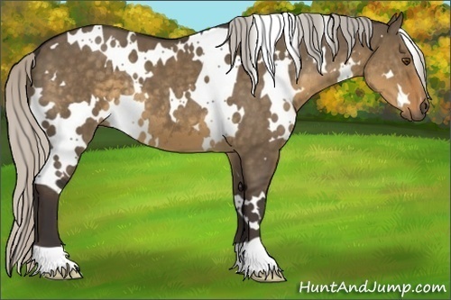 Horse Color:White Spotted Silver Smoky Grullo 