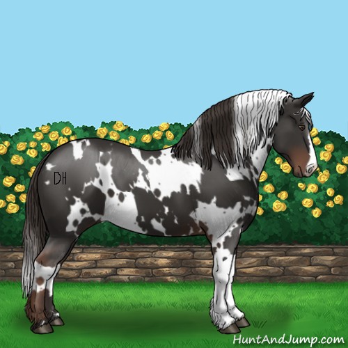 Horse Color:White Spotted Liver Chestnut 