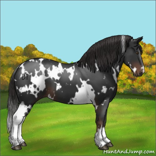Horse Color:White Spotted Liver Chestnut 