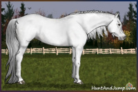 Horse Color:Gray Brown Tobiano Frame Rabicano