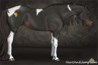 Horse Color:Liver Chestnut Tobiano 