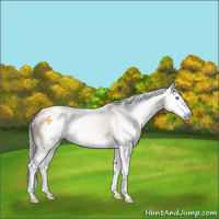 Horse Color:Gray White Spotted Buckskin Mushroom Splash 