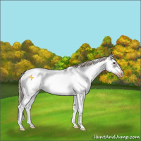 Horse Color:Liver Chestnut Sabino Splash Frame Appaloosa 