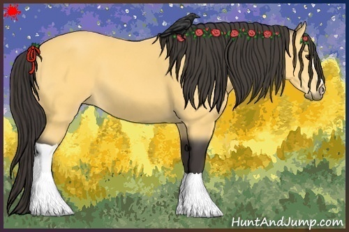 Horse Color:Buckskin 