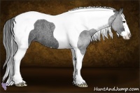 Horse Color:Blue Roan Splash Tobiano