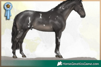 Horse Color:White Spotted Smoky Black Tobiano