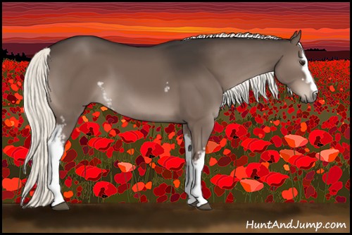 Horse Color:White Spotted Liver Chestnut 