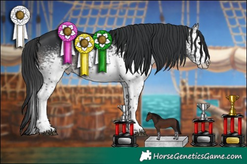 Horse Color:White Spotted Black Sabino 