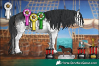 Horse Color:White Spotted Black Sabino