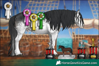 Horse Color:White Spotted Black Sabino 