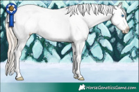 Horse Color:Chocolate Palomino Dun Splash Varnish 