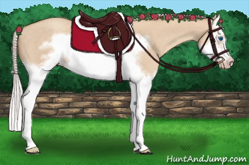 Horse Color:Silver Classic Champagne Dun Splash Frame 