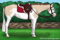 Horse Color:Silver Classic Champagne Dun Splash Frame 