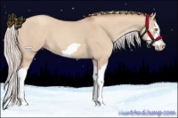 Horse Color:Silver Classic Champagne Dun Splash Frame 