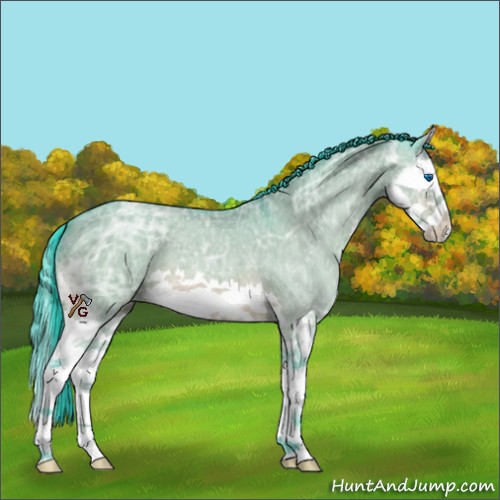 Horse Color:Watercolor Bay Ice Dun Splash 