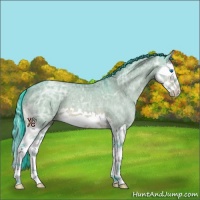 Horse Color:Watercolor Bay Ice Dun Splash 