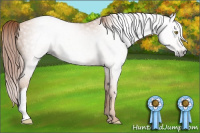 Horse Color:Gray Gold Champagne 