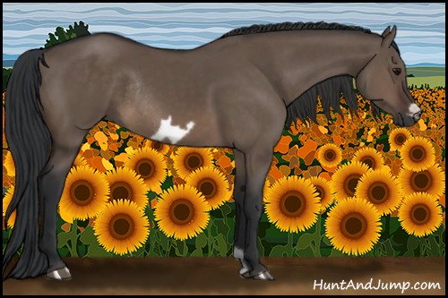Horse Color:Brown Dun Frame Rabicano