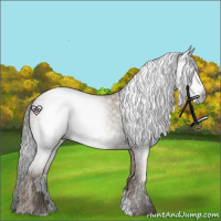 Horse Color:Gray Classic Champagne 