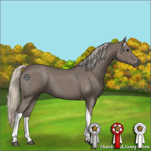 Horse Color:Silver Blue Roan Tobiano