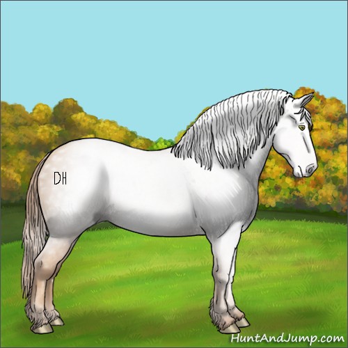 Horse Color:Gray Gold Champagne 