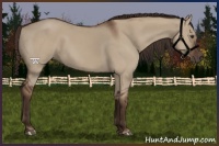 Horse Color:Liver Red Dun 