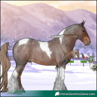 Horse Color:Liver Red Roan Tobiano