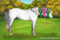 Horse Color:Gray Classic Champagne 