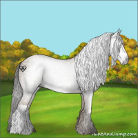 Horse Color:Gray Classic Champagne 