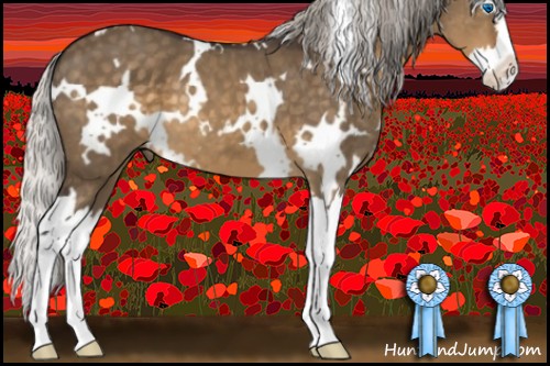 Horse Color:White Spotted Silver Buckskin Dun Mushroom Sabino Splash 