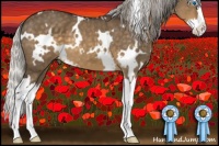 Horse Color:White Spotted Silver Buckskin Dun Mushroom Sabino Splash 