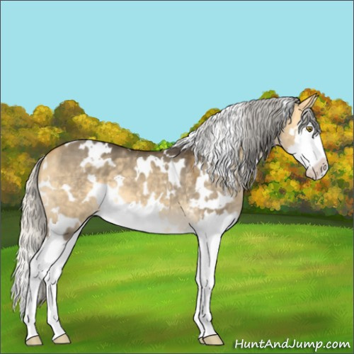 Horse Color:White Spotted Silver Buckskin Dun Mushroom Splash