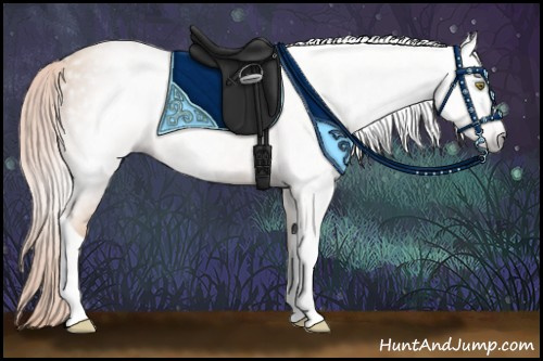 Horse Color:Gray Gold Champagne 