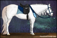 Horse Color:Gray Gold Champagne 