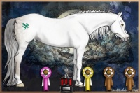 Horse Color:Gray Classic Cream Champagne Tobiano Frame Rabicano 