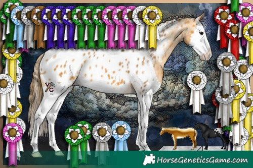 Horse Color:Buckskin Sabino Splash Appaloosa 