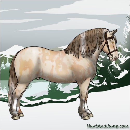 Horse Color:Silver Classic Champagne  and Grullo Pearl 