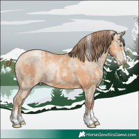 Horse Color:Silver Classic Champagne and Grullo Pearl