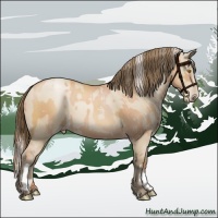 Horse Color:Silver Classic Champagne  and Grullo Pearl 