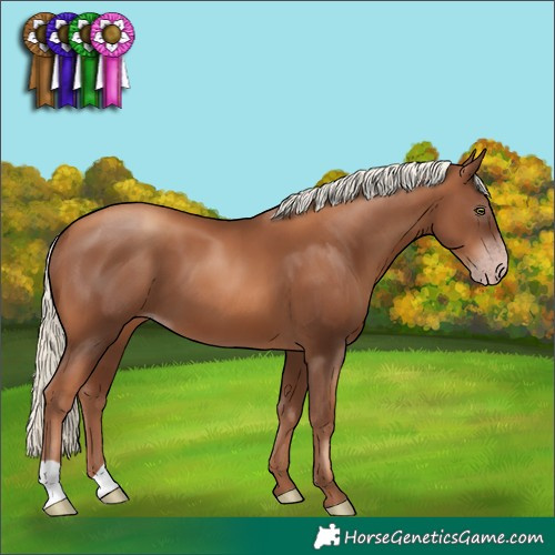 Horse Color:Gray Gold Champagne Mushroom 