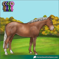 Horse Color:Gray Gold Champagne Mushroom 